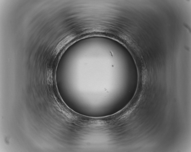 X0000102811113200808181217