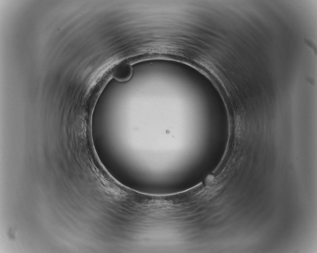 X0000102811115200808181217