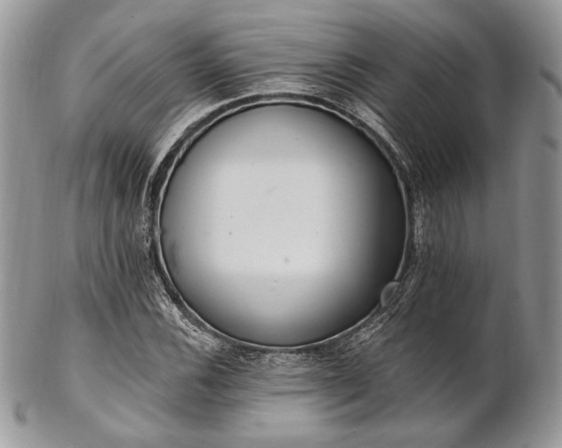 X0000102811116200808181217