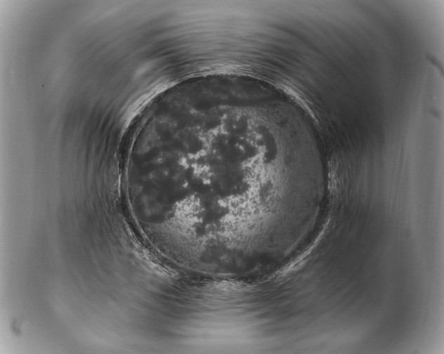 X0000102811117200808181217