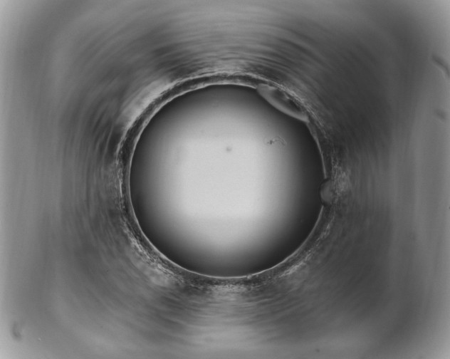 X0000102811118200808181217