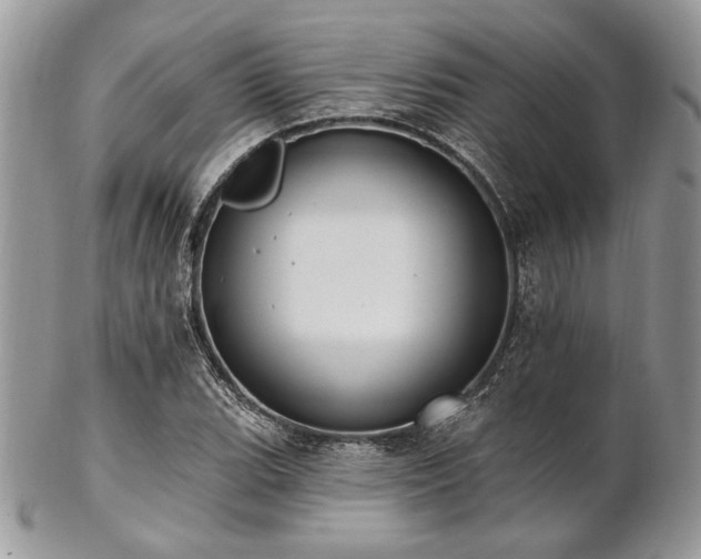 X0000102811119200808181217