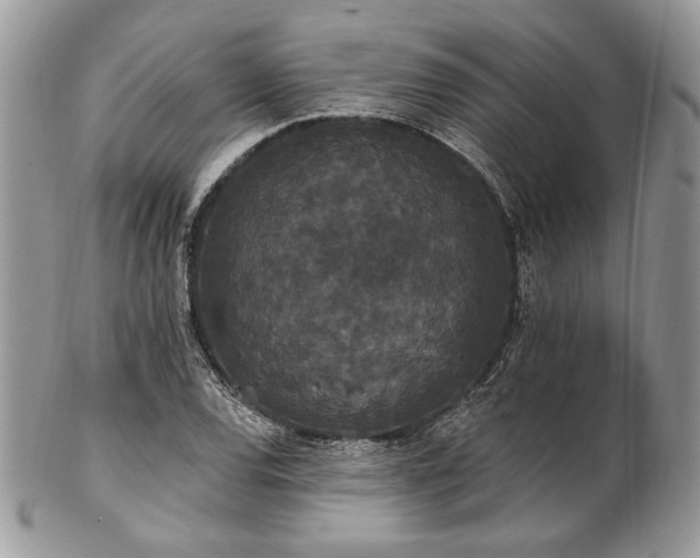 X0000102811120200808181217