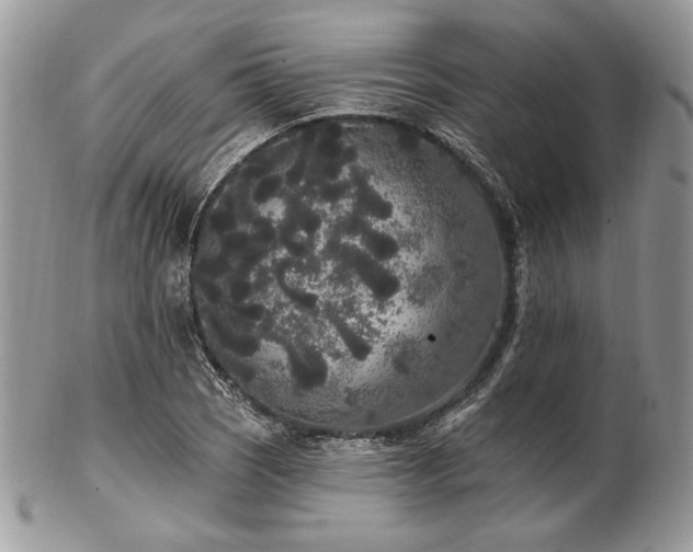 X0000102811121200808181217