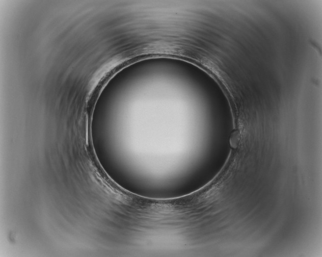 X0000102811123200808181217