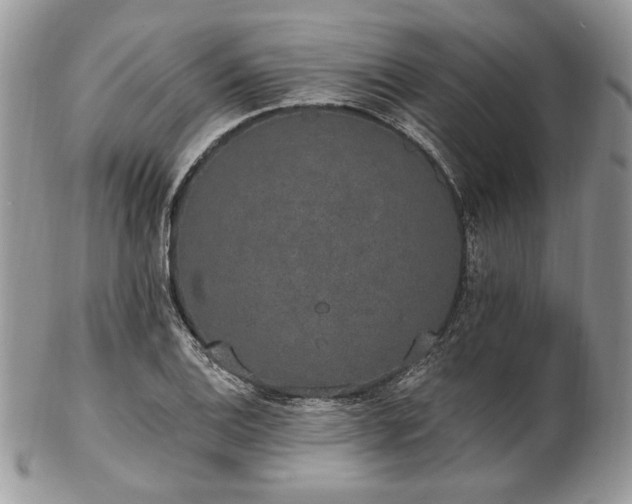 X0000102811124200808181217