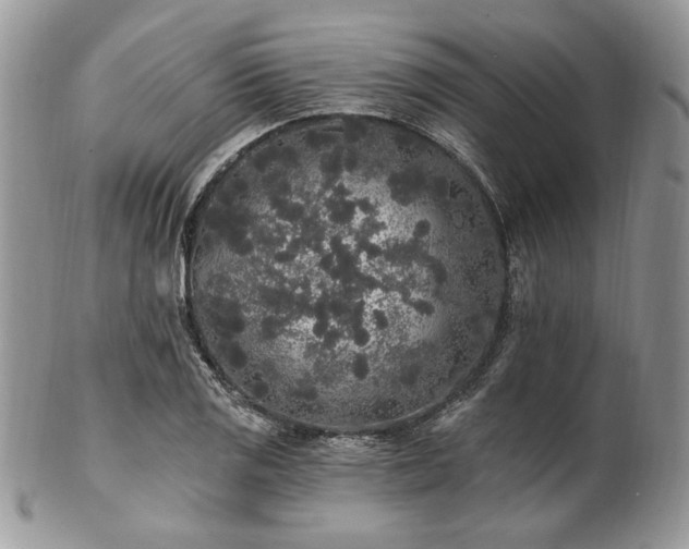 X0000102811125200808181217