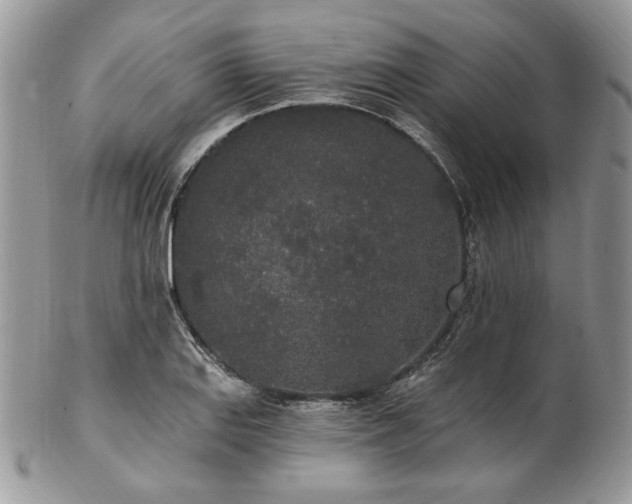 X0000102811127200808181217