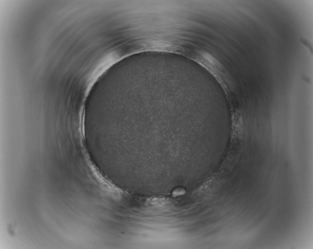 X0000102811128200808181217