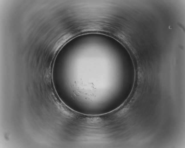 X0000102811129200808181217