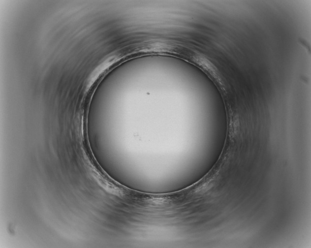 X0000102811130200808181217