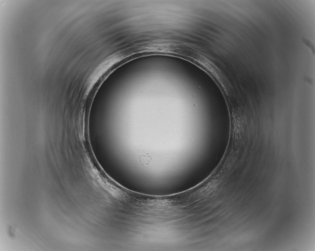 X0000102811131200808181217