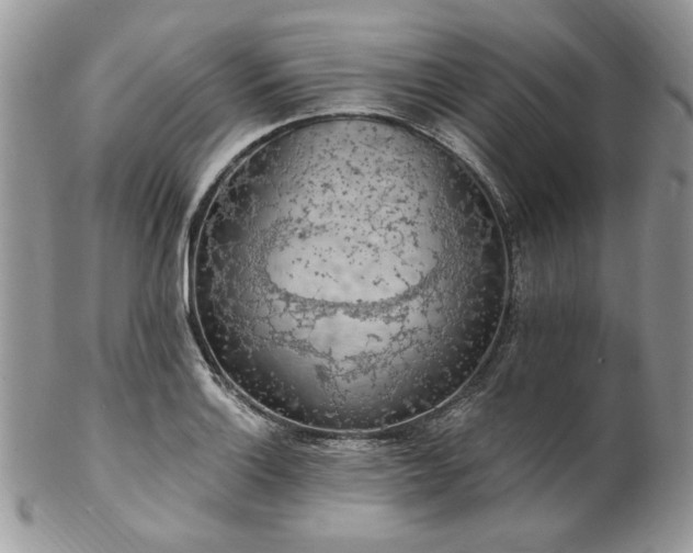 X0000102811132200808181217