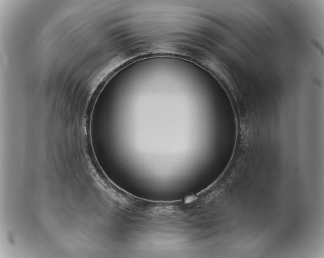 X0000102811133200808181217