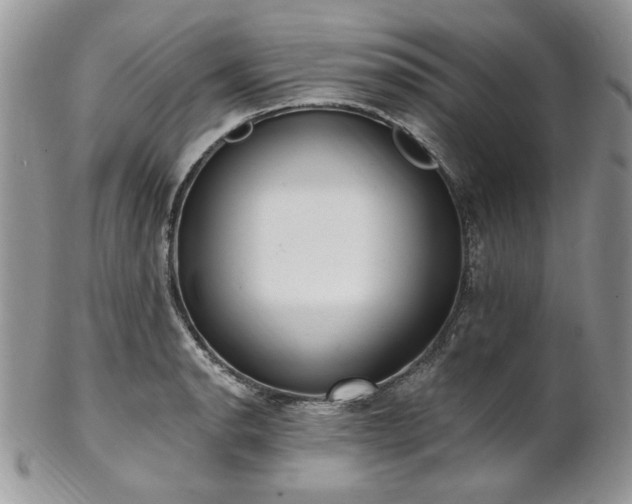 X0000102811134200808181217