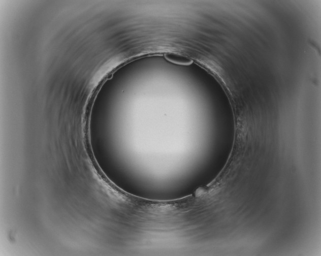 X0000102811135200808181217