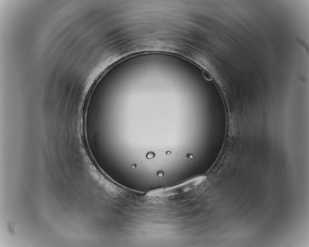 X0000102811136200808181217