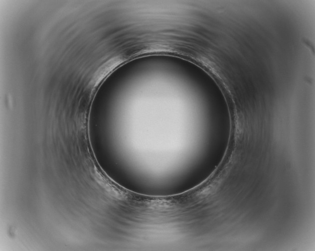 X0000102811137200808181217