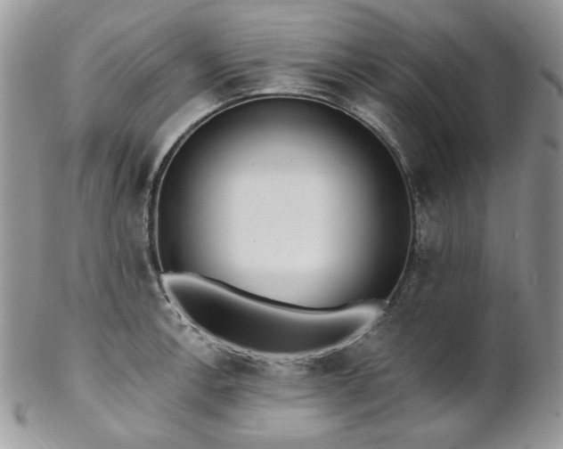 X0000102811138200808181217