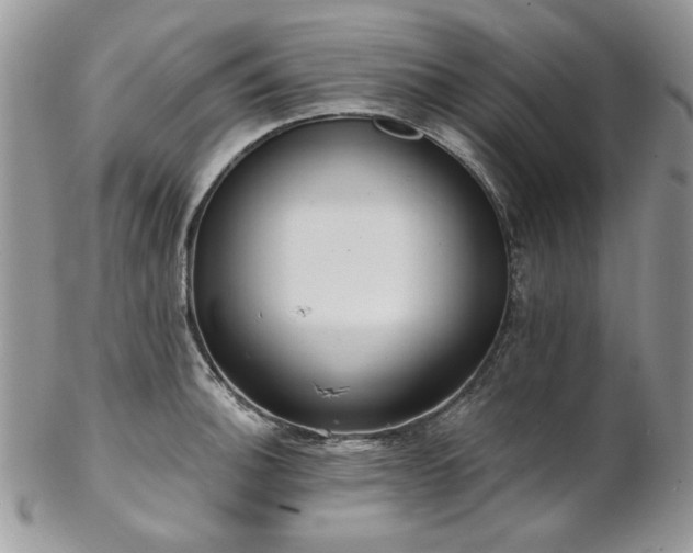 X0000102811140200808181217