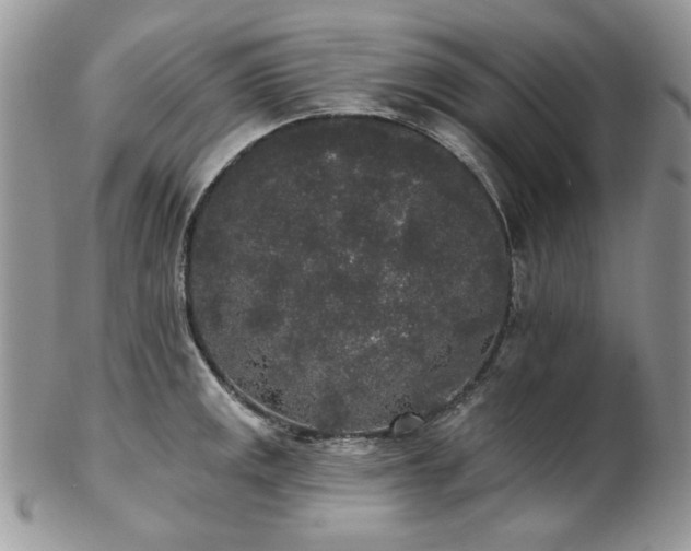 X0000102811141200808181217