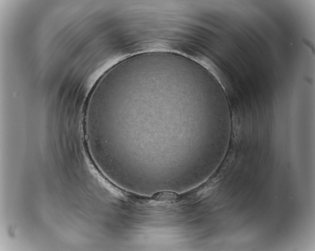 X0000102811142200808181217