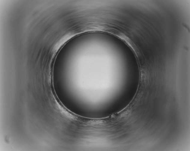 X0000102811143200808181217