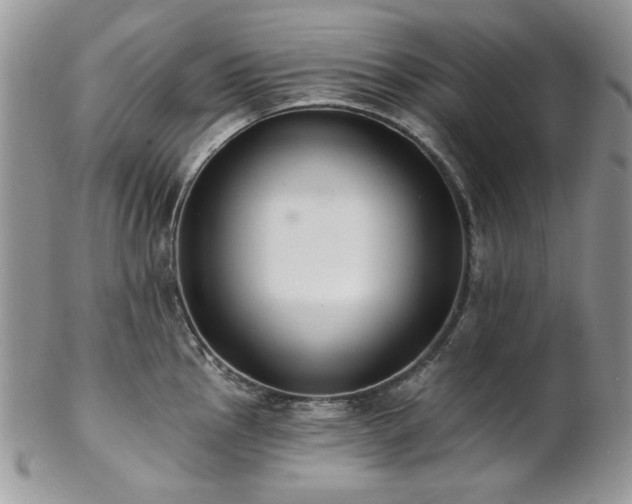 X0000102811145200808181217