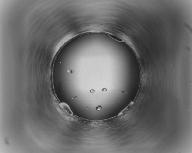 X0000102811146200808181217