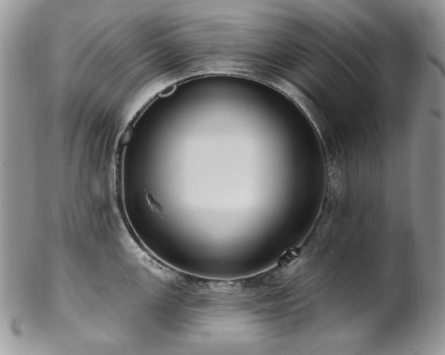 X0000102811147200808181217