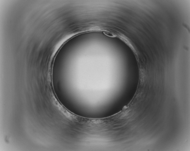 X0000102811148200808181217