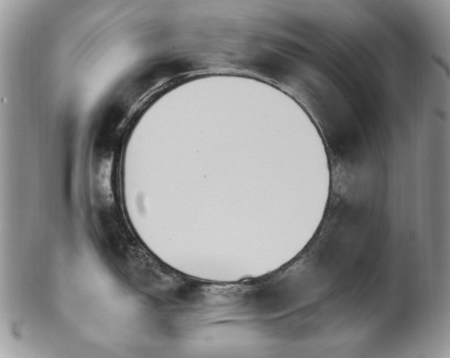 X0000102811150200808181218