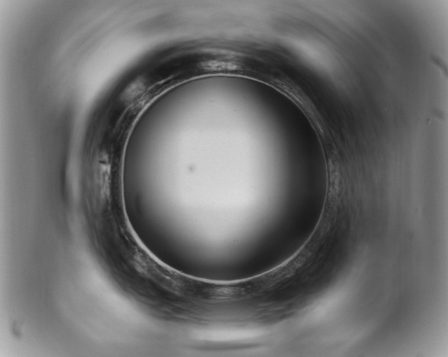 X0000102811151200808181218