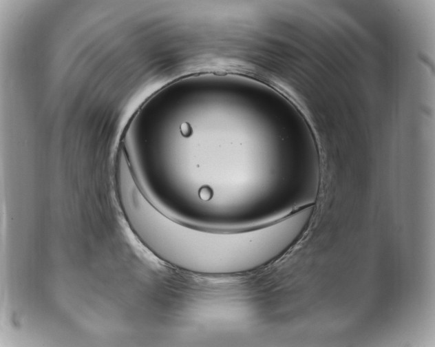 X0000102811152200808181218