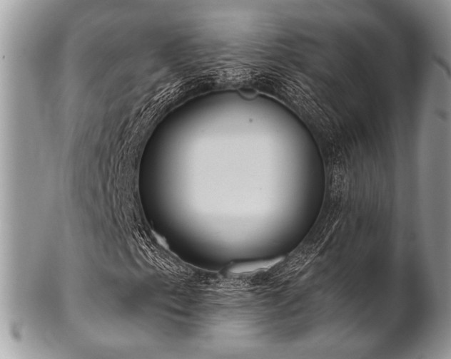 X0000102811153200808181217