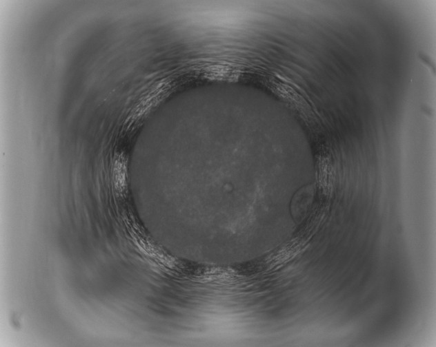 X0000102811154200808181217