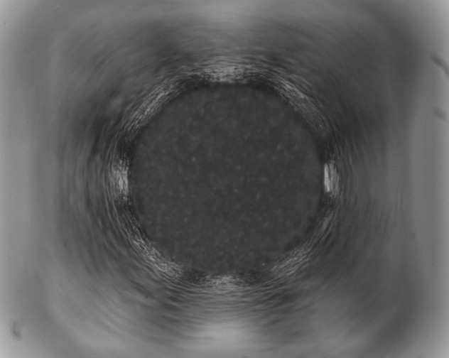 X0000102811155200808181217