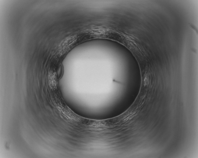 X0000102811156200808181217