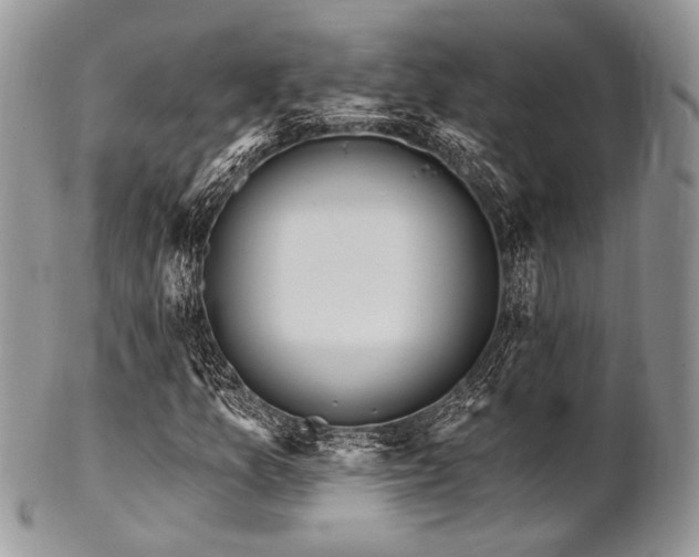 X0000102811157200808181217