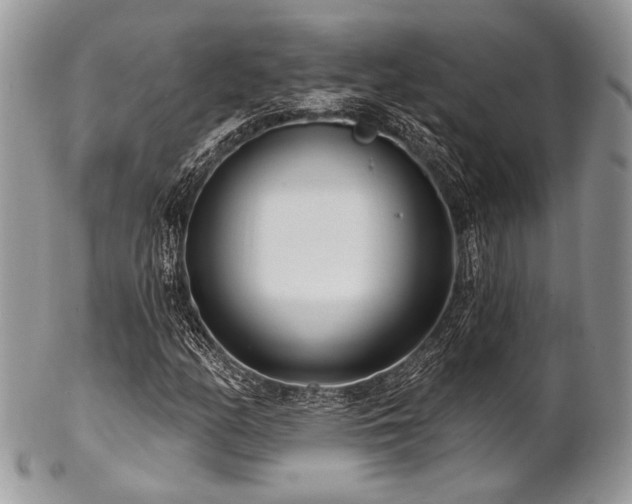 X0000102811158200808181217