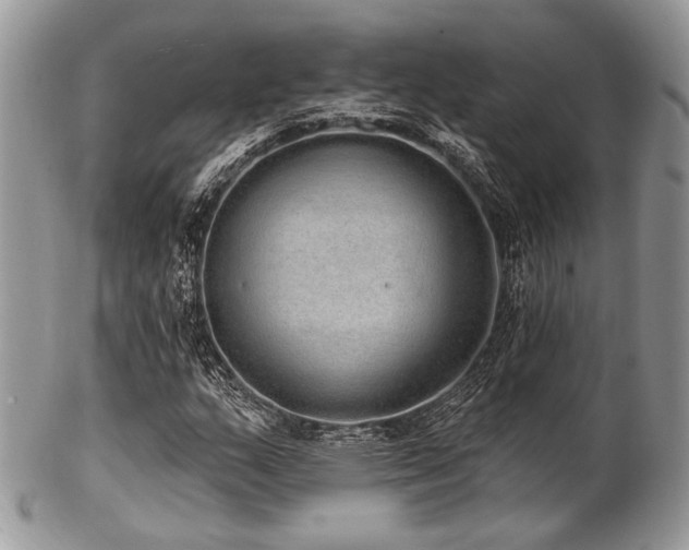 X0000102811159200808181217