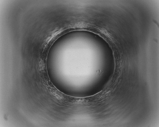 X0000102811160200808181217