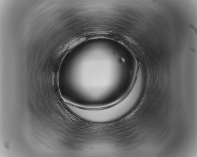 X0000102811161200808181217