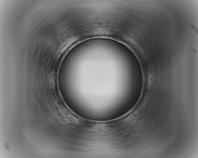 X0000102811162200808181217