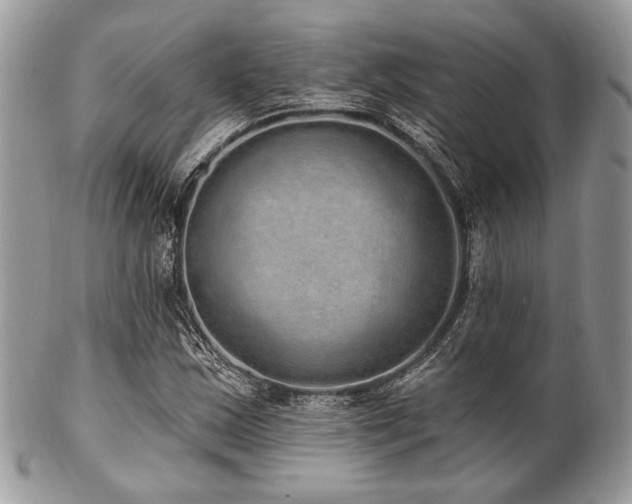 X0000102811163200808181217