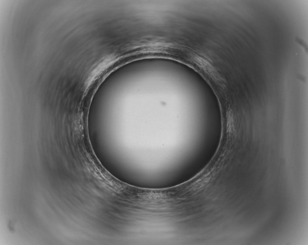 X0000102811164200808181217