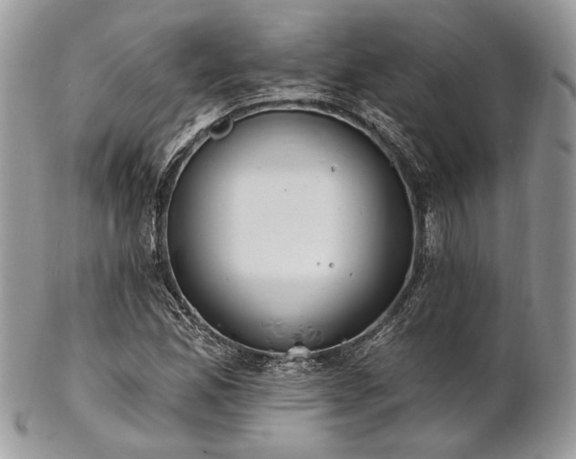 X0000102811165200808181217