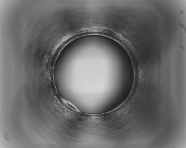 X0000102811166200808181217