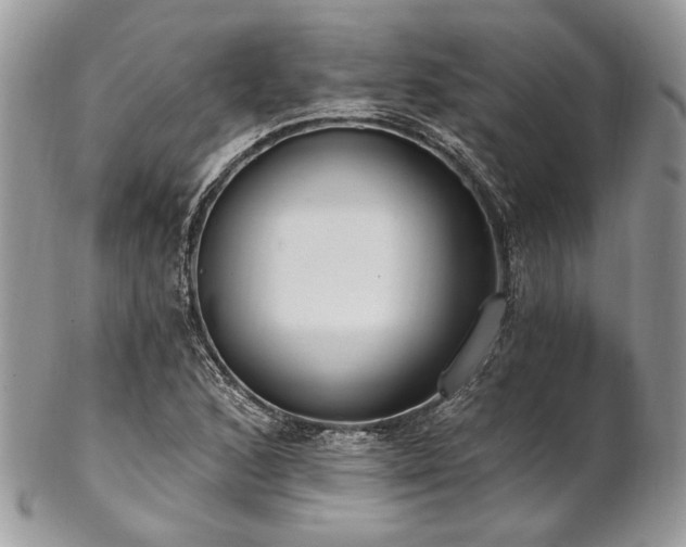 X0000102811168200808181216