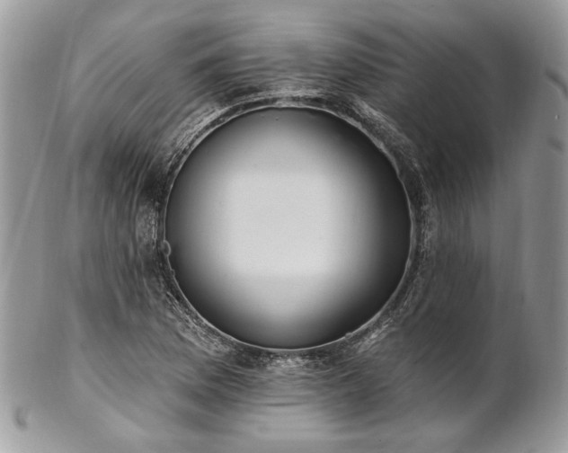 X0000102811169200808181216